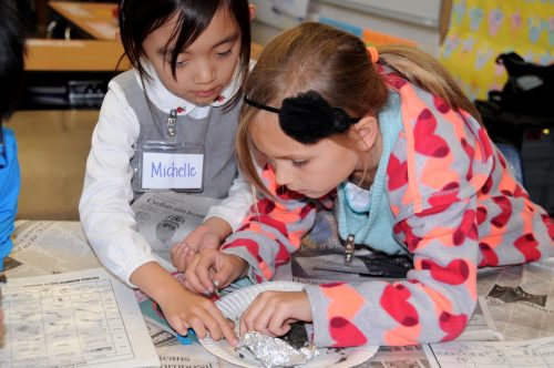 Owl pellet dissection