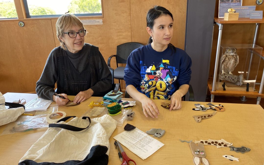 Preparing for the Future: an Interview with an EV Intern