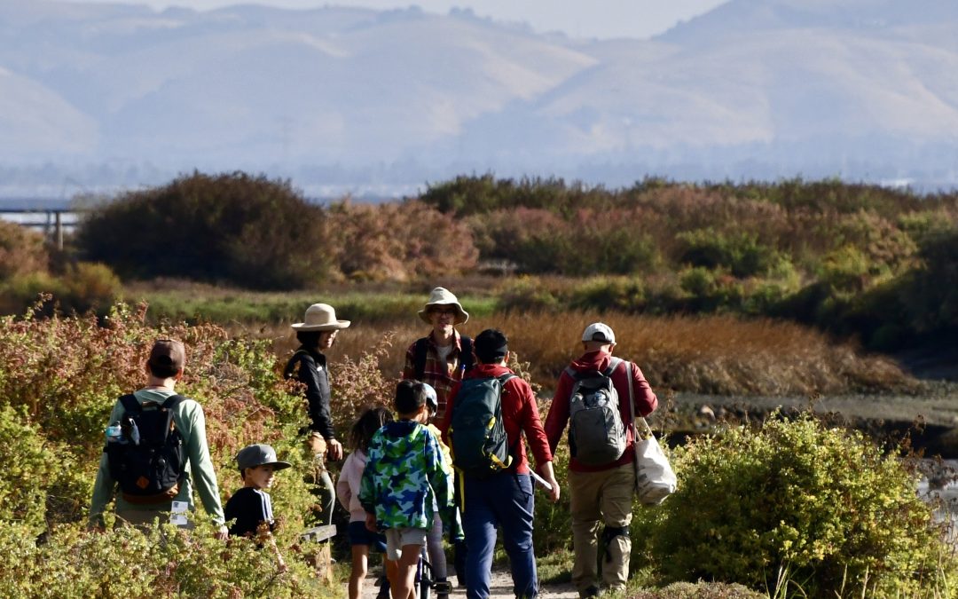 Fall BioBlitz