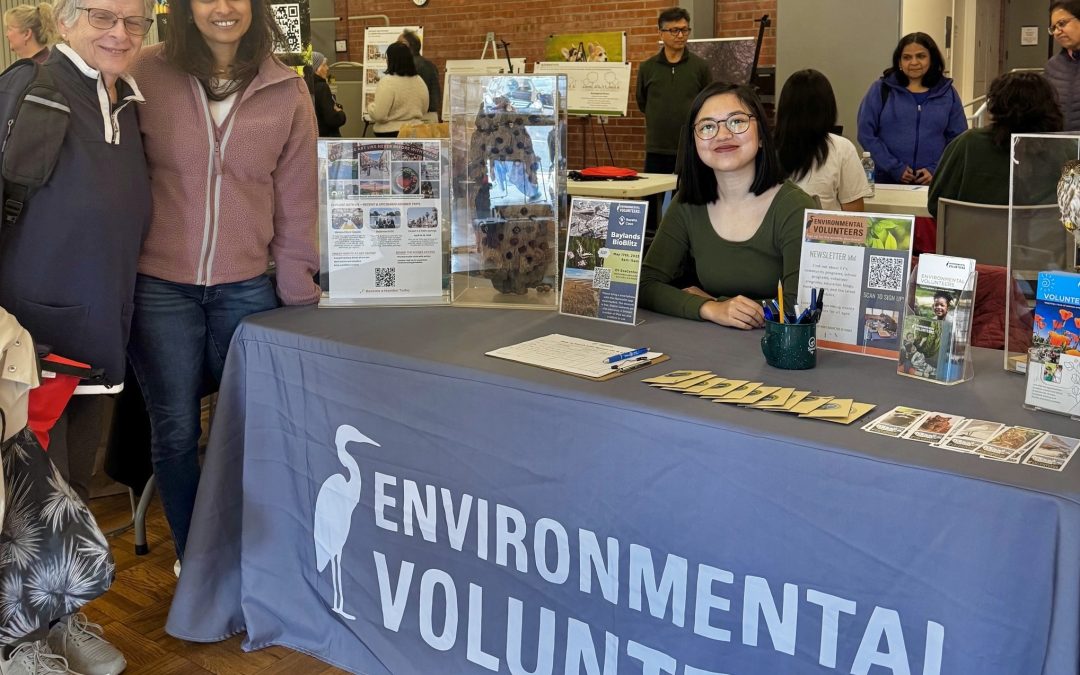 An Energizing Earth Month at EV