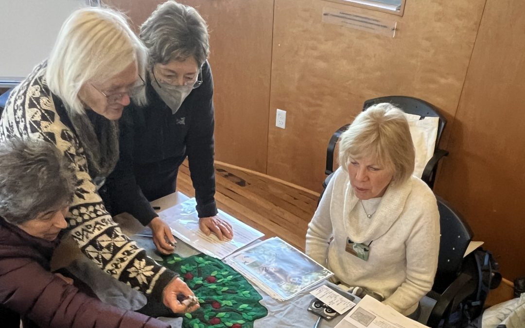 Spring Training Session – Marine Ecology